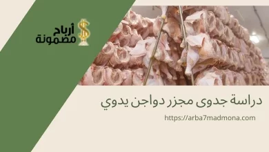 دراسة جدوى مجزر دواجن يدوي