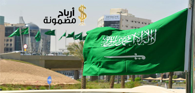 مشروع صغير مربح في السعودية