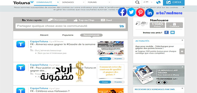 الربح من الاستطلاعات