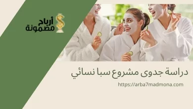 دراسة جدوى مشروع سبا نسائي