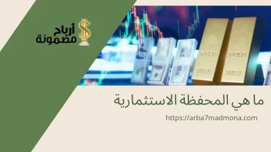 ما هي المحفظة الاستثمارية